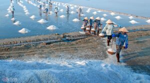 Cánh đồng muối Ninh Thuận trong tour 1 ngày đồi cừu Phước Thái