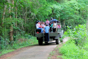 du lịch Nam Cát Tiên - trải nghiệm ngắm thú đêm bằng xe Jeep