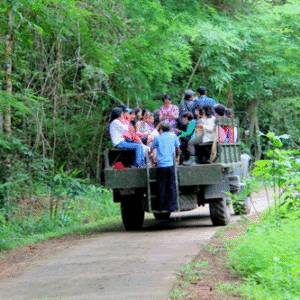 du lịch Nam Cát Tiên - trải nghiệm ngắm thú đêm bằng xe Jeep