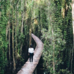 tour đi miền tây 3 ngày 2 đêm long an 